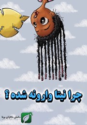 معرفی و دانلود کتاب چرا نیتا وارونه شده؟