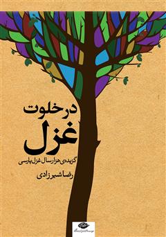 معرفی و دانلود کتاب در خلوت غزل