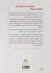پشت جلد کتاب کتاب در برکه‌ی دو پرنده