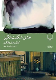 کتاب عشق شگفت انگیز