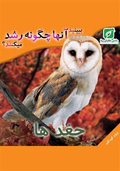 معرفی و دانلود کتاب ببینید جغدها چگونه رشد می‌کنند؟