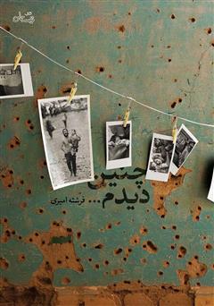 معرفی و دانلود کتاب چنین دیدم...