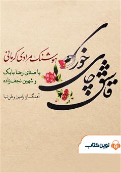 معرفی و دانلود کتاب صوتی قاشق چای خوری