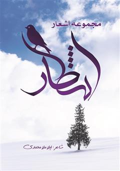 معرفی و دانلود کتاب مجموعه اشعار انتظار