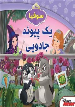 معرفی و دانلود کتاب یک پیوند جادویی