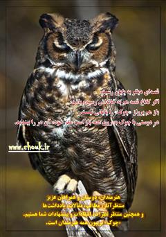 پشت جلد کتاب ماهنامه ادبیات داستانی چوک - شماره 109