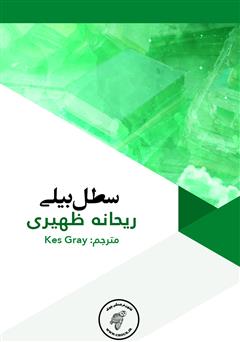 معرفی و دانلود کتاب سطل بیلی
