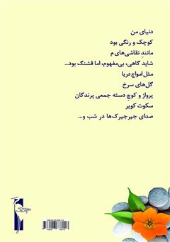پشت جلد کتاب کتاب یک رویای ممکن