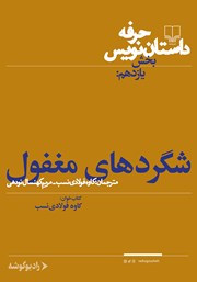 معرفی و دانلود کتاب صوتی حرفه: داستان‌نویس 11: شگردهای مغفول