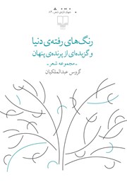 معرفی و دانلود کتاب رنگ‌های رفته‌ی دنیا و گزیده‌ای از پرنده‌ی پنهان