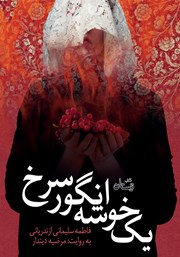 معرفی و دانلود کتاب صوتی یک خوشه انگور سرخ