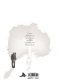 پشت جلد کتاب کتاب دست سایه‌ام سرد است