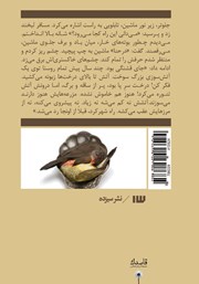 پشت جلد کتاب کتاب در حنا پشت جلد کتاب کتاب در حنا