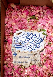 معرفی و دانلود کتاب صوتی مرلین مونرو غمگین نیست