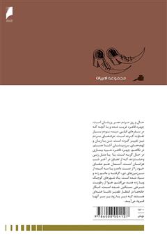 پشت جلد کتاب رمان زینی برکات پشت جلد کتاب رمان زینی برکات