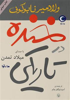معرفی و دانلود کتاب صوتی خنده در تاریکی