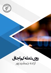 معرفی و دانلود کتاب صوتی روی شعله کم اجاق