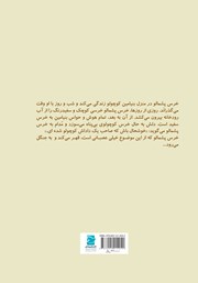 پشت جلد کتاب کتاب خرس پشمالو