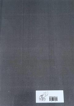 پشت جلد کتاب کتاب شاید اگر عشقی بود