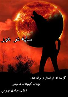 معرفی و دانلود کتاب سایه در هور