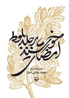 معرفی و دانلود کتاب امضای خورشید بر جلد بلوط