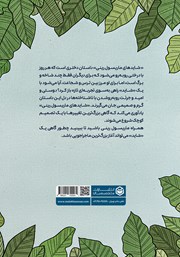 پشت جلد کتاب شایدهای ماریسول رینی