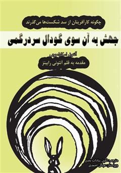 معرفی و دانلود کتاب جهش به آن سوی گودال سردرگمی: چگونه کارآفرینان از سد شکست‌ها می‌گذرند