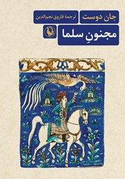 معرفی و دانلود کتاب مجنون سلما