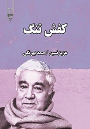 معرفی و دانلود کتاب صوتی کفش تنگ