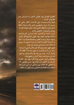 پشت جلد کتاب کتاب این نیز نمی‌گذرد