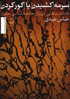 معرفی و دانلود کتاب سرمه کشیدن یا کور کردن؛ یادداشت‌هایی درباره جامعه‌شناسی حقوق