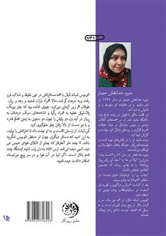 پشت جلد کتاب کتاب اتوبوس شبانه شمال