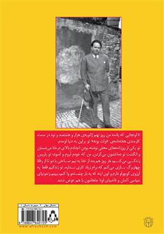 پشت جلد کتاب کتاب بعضی‌ها هیچ‌وقت نمی‌فهمن!