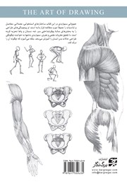 پشت جلد کتاب کتاب درک فرم و ساختار انسان پشت جلد کتاب کتاب درک فرم و ساختار انسان