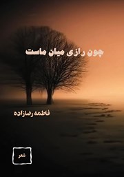 معرفی و دانلود کتاب چون رازی میان ماست