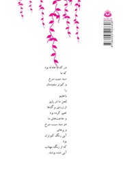 پشت جلد کتاب کتاب دفترهای واپسین - دفتر اول: به رنگ آبی