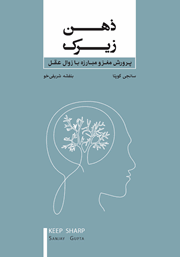 معرفی و دانلود کتاب ذهن زیرک