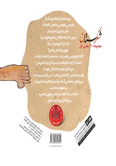 پشت جلد کتاب کتاب نیم مشت نمک