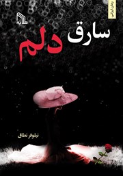 معرفی و دانلود کتاب سارق دلم