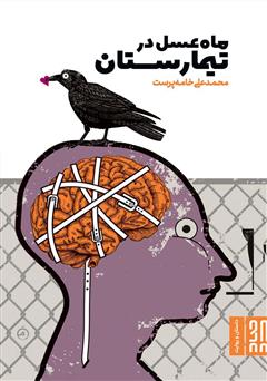 معرفی و دانلود کتاب ماه عسل در تیمارستان
