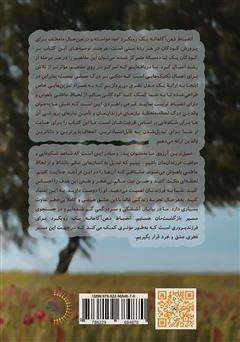 پشت جلد کتاب کتاب انضباط ذهن ‌آگاهانه