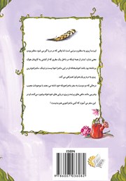 پشت جلد کتاب کتاب ناپدید شدن ایردسا در دریا