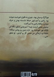 پشت جلد کتاب کتاب سایه‌های مبهم شفق